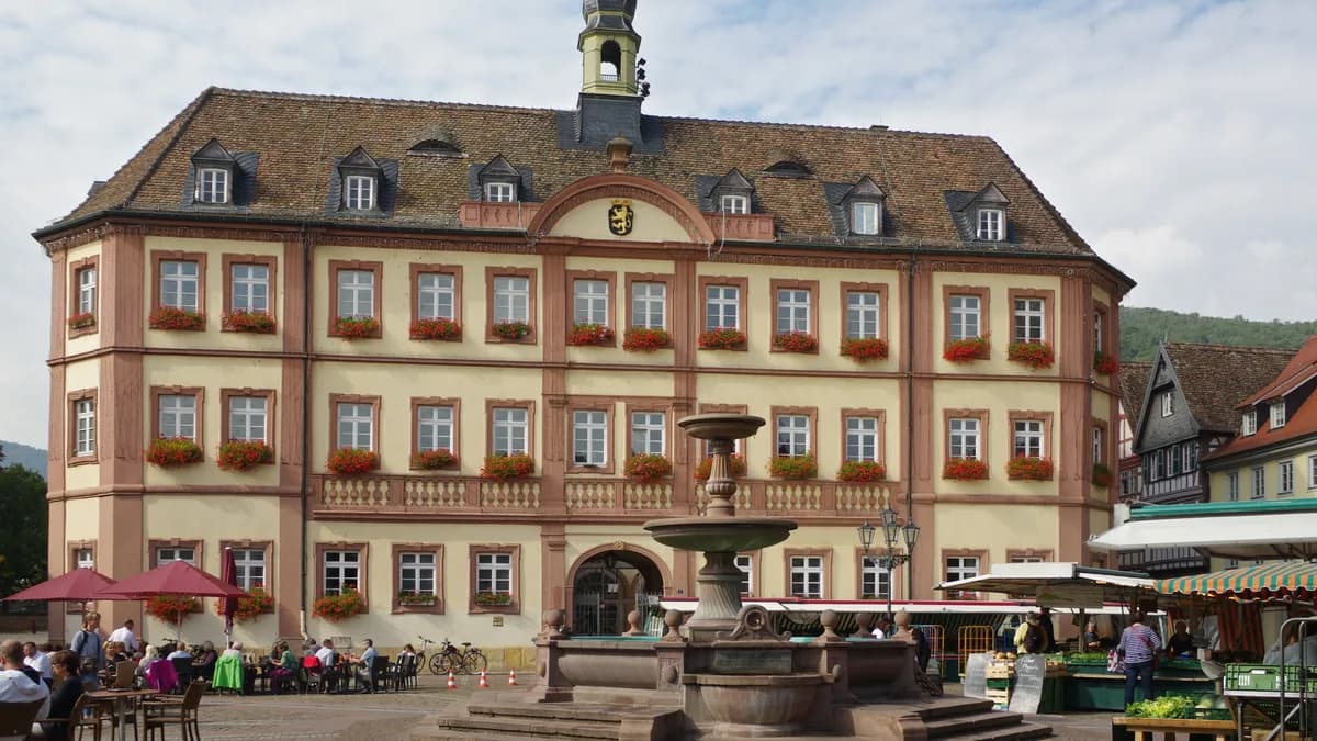 Stadtansicht von Neustadt an der Weinstraße